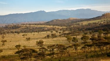 Amerikansk kvinna kidnappad på safari i Uganda: kidnappare kräver 500 000 dollar