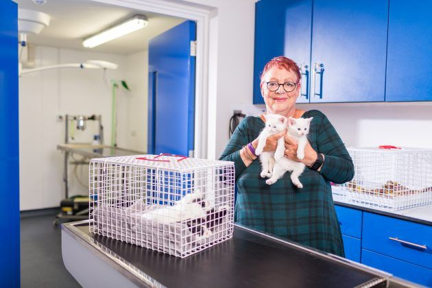TV vanavond Kitten Rescue met Jo Brand