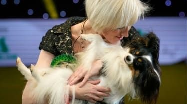 Crufts 2019 - parhaat kuvat