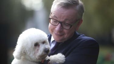 Har Michael Gove ret til at forbyde elektrisk stødhalsbånd til hunde?