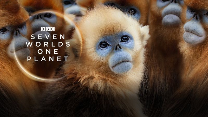 Fubo TV pakub BBC America 4K-s filmi 'Seitse maailma, üks planeet'.