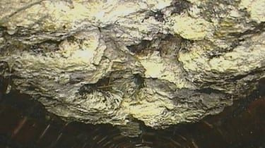 Hvad er der inde i Londons fatbergs?