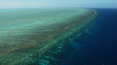 Vérification des faits : la vérité derrière les dommages causés à la Grande Barrière de Corail