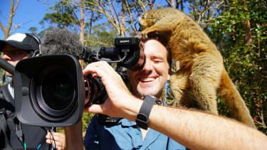Lemuria Land, Nosy Be, Madagaskar - Lemur bawi się kamerzystą