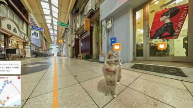 Prvá mapa Cat Street View na svete vytvorená v Japonsku