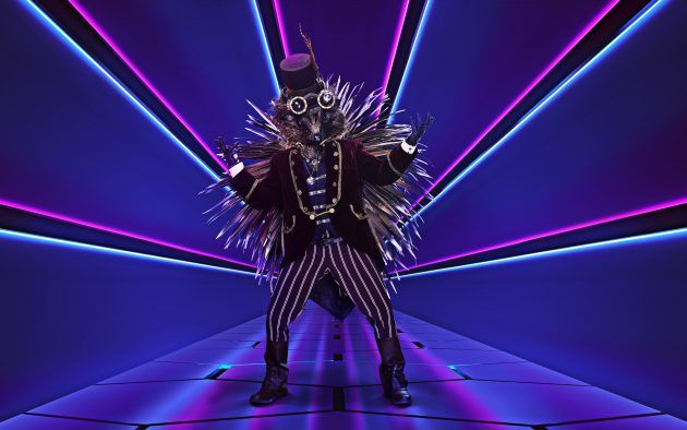 The Masked Singer Hedgehog