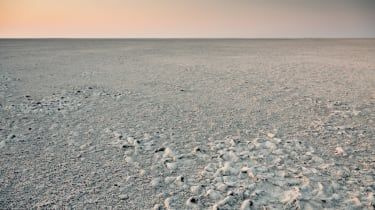 Waar was de hof van Eden? DNA heeft het antwoord