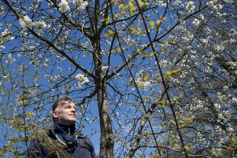 Τηλεόραση Απόψε ο Chris Packham στην όμορφη ύπαιθρο του Hampshire.