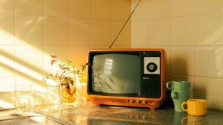 Ce e la televizor pentru sâmbătă, 8 ianuarie
