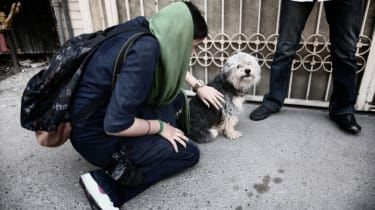 Pourquoi l'Iran rend la vie difficile aux propriétaires de chiens