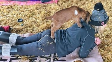 Getyogaklassen har en väntelista på 900 personer