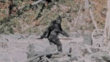 Bigfoot gyvena JK, tvirtina močiutė