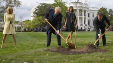 L'arbre de l'amitié de Macron et Trump est mort