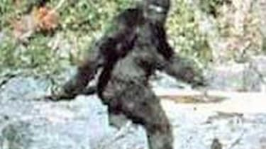 061016-wd-bigfoot.jpg