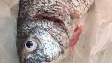 030918-wd-googly-eyes.jpg