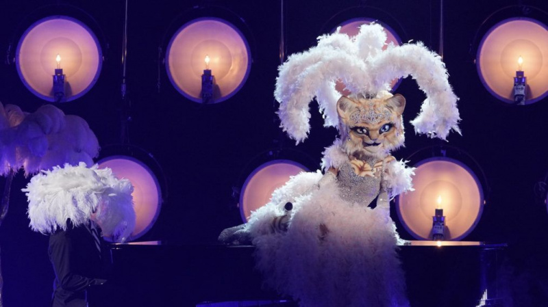 Masked Singer Kitty