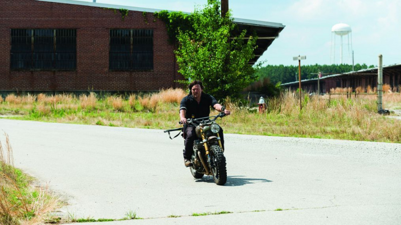The Walking Dead - Norman Reedus
