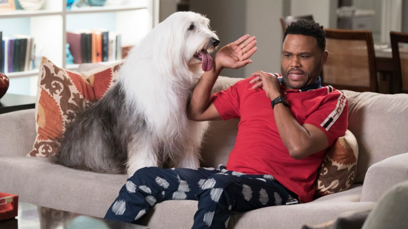 BLACK-ISH - ANTHONY ANDERSON