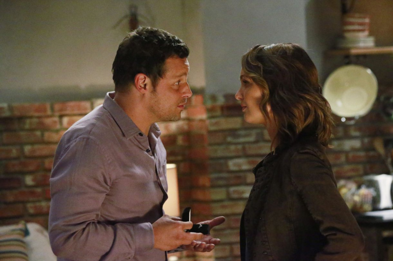 Greys Anatomy, Justin Chambers, Camilla Luddington