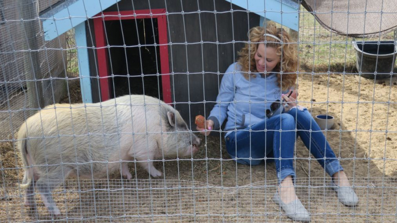 Roscoe - Pig
