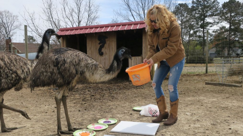 Gladys & Grady - Emus