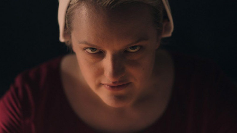 The Handmaid