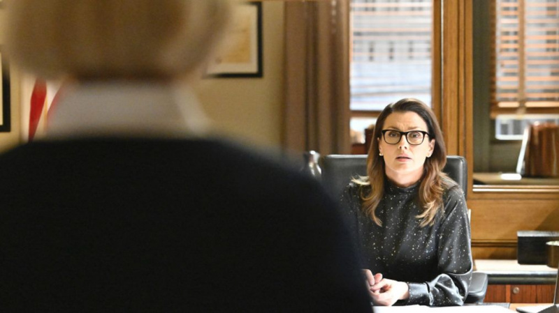 Blue Bloods Season 10 Episode 18 Erin Visitor