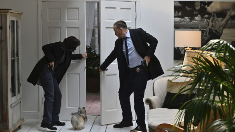 Blue Bloods Season 10 Episode 18 Baez Danny Dog