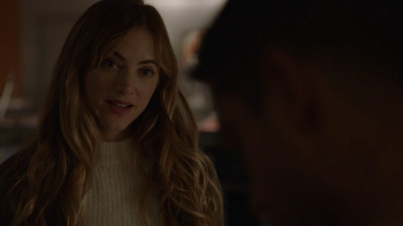 NCIS Bishop Torres Mona Lisa Murder Accusation