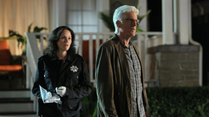 6 fãs de 'CSI' Stars (e outros) querem ver o avivamento (fotos)