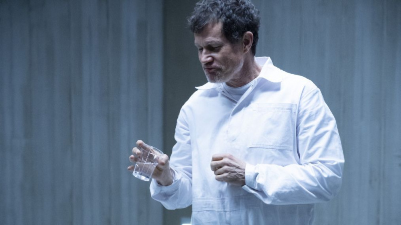 DYLAN WALSH