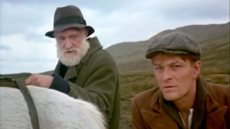 the-field-sean-bean