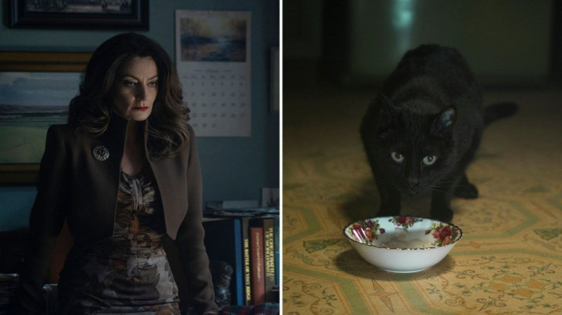 El escritor y Wiccan de 'Las escalofriantes aventuras de Sabrina' revela la verdad sobre sus hechizos (FOTOS)