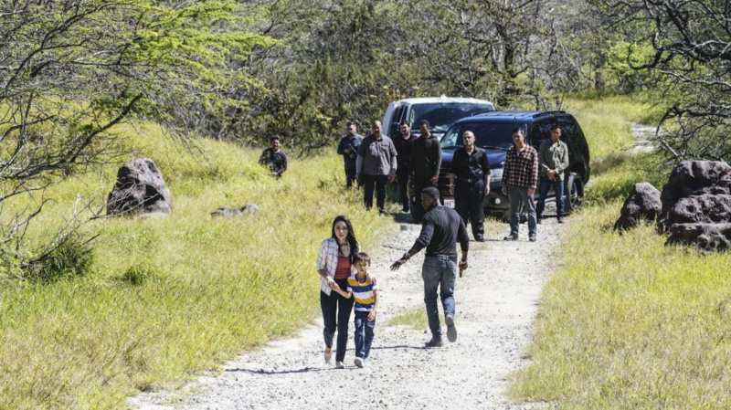 Hawaii Five-0 Season 10 Episode 21 Lincoln Good Samaritan
