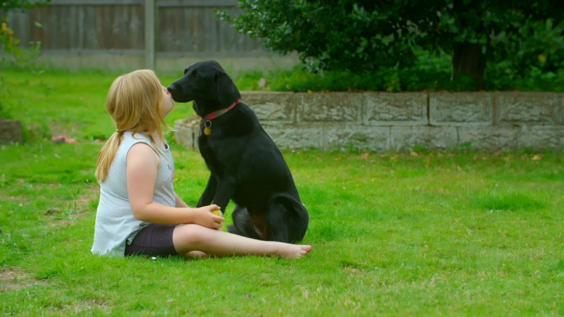 Dog House UK HBO Макс