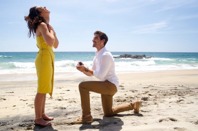 BACHELOR IN PARADISE -