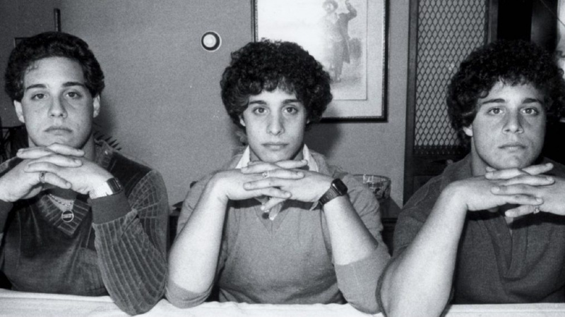 Documentary gallery three identical strangers