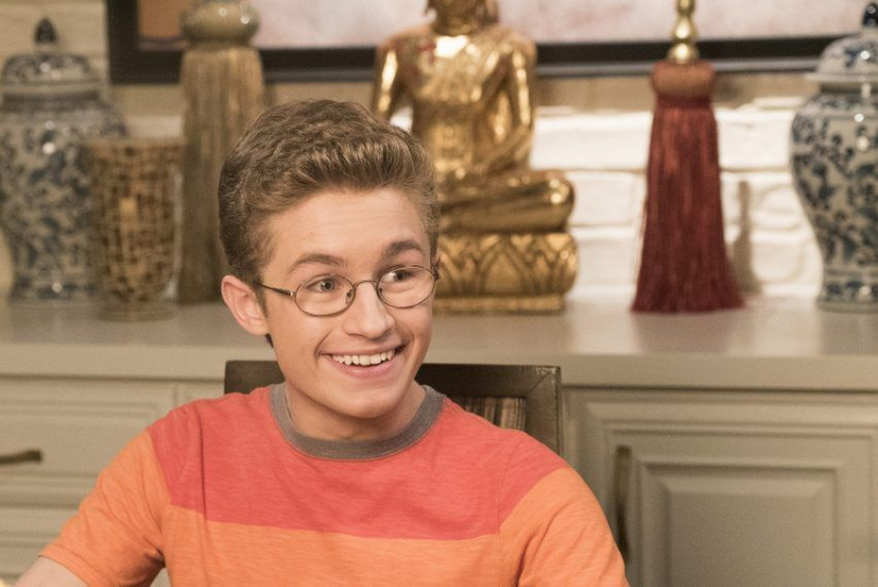 THE GOLDBERGS -