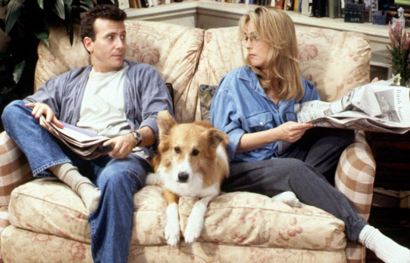 Dogs-Mad about You