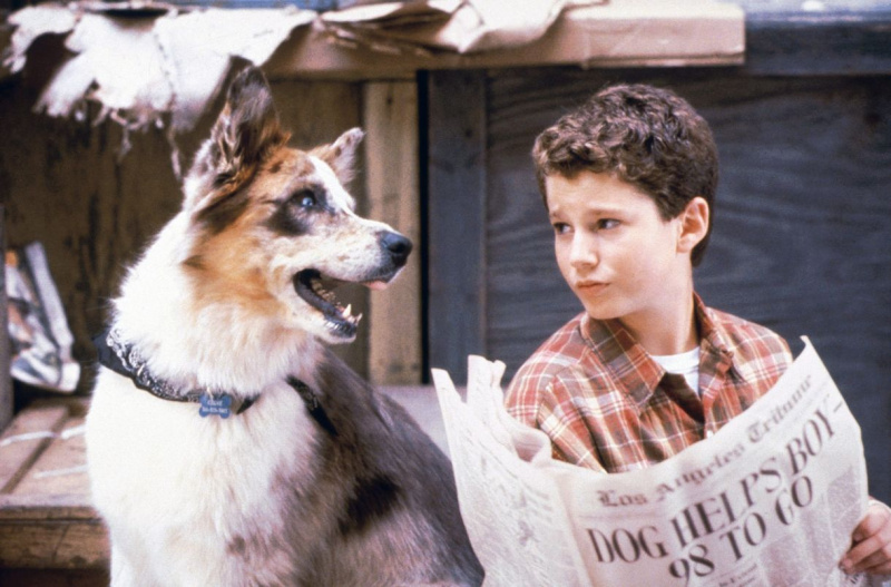 Dogs-100 Deeds for Eddie McDowd