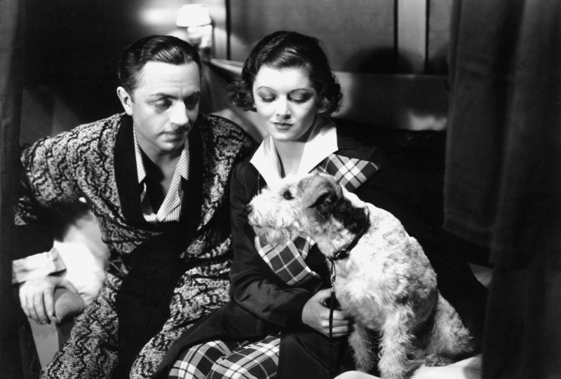 Dogs-Thin Man