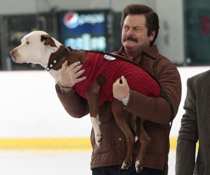 Dog-Parks and Recreation