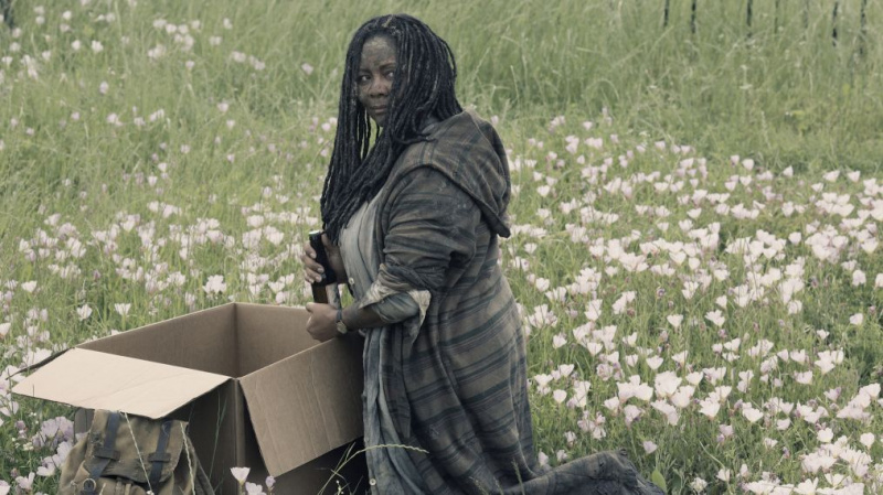 FTWD_412_RG_0420_0994_RT