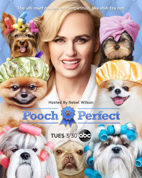 ‘Pooch Perfect’: Wie gut kennt Rebel Wilson ihre Hunderassen? (VIDEO)