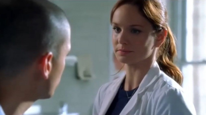 Prison Break Sarah Wayne Callies Då