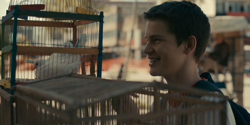 Coasta țânțarilor episodul 6 Charlie Fox