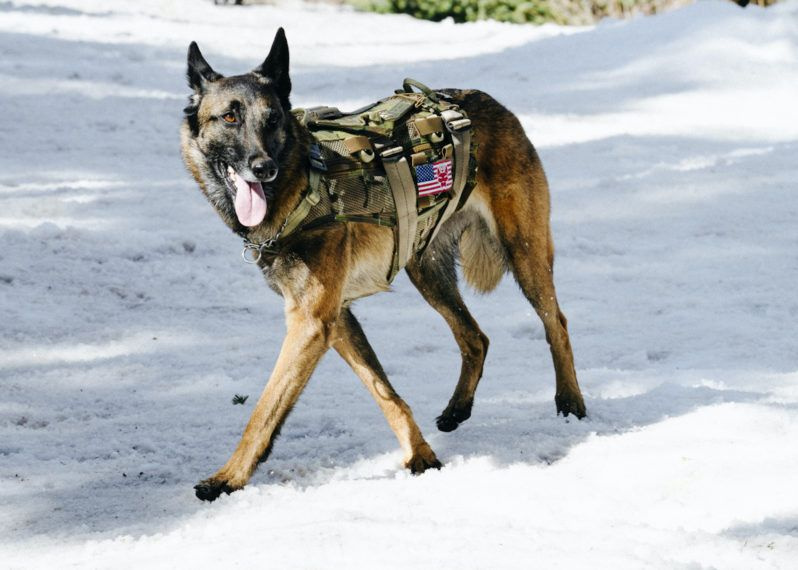 Dita SEAL Team Stagione 4 Episodio 1 Cerberus