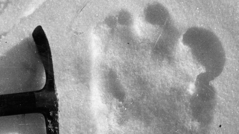 Viajando para mundos estranhos: 'Em busca de monstros' EP sobre a investigação de Yeti e outras criptas