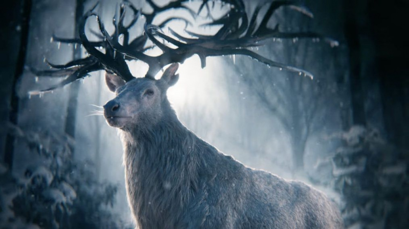 Die Grishaverse-Romane kommen in „Shadow and Bone“ zu Netflix (VIDEO)