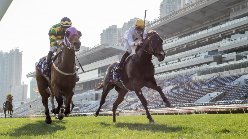 Πώς να παρακολουθήσετε το Hong Kong Gold Cup 2024: ζωντανή μετάδοση της ιπποδρομίας στο διαδίκτυο και στην τηλεόραση